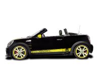 AC Schnitzer MINI Color Concepts (2013)