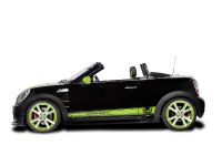 AC Schnitzer MINI Color Concepts (2013)