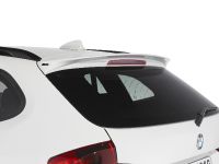 AC Schnitzer X1 (2010) - picture 6 of 18