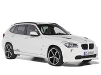 AC Schnitzer X1 (2010) - picture 3 of 18