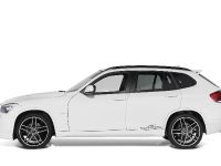 AC Schnitzer X1 (2010) - picture 4 of 18