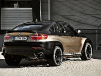 AC Schnitzer BMW X6 Falcon (2008) - picture 2 of 16