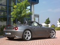 ACS4 BMW Z4 Roadster (2009) - picture 6 of 26