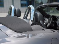 ACS4 BMW Z4 Roadster (2009) - picture 11 of 26