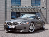 ACS4 BMW Z4 Roadster (2009) - picture 4 of 26