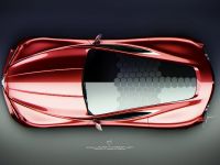 Alfa Romeo 12C GTS Concept (2012) - picture 10 of 14