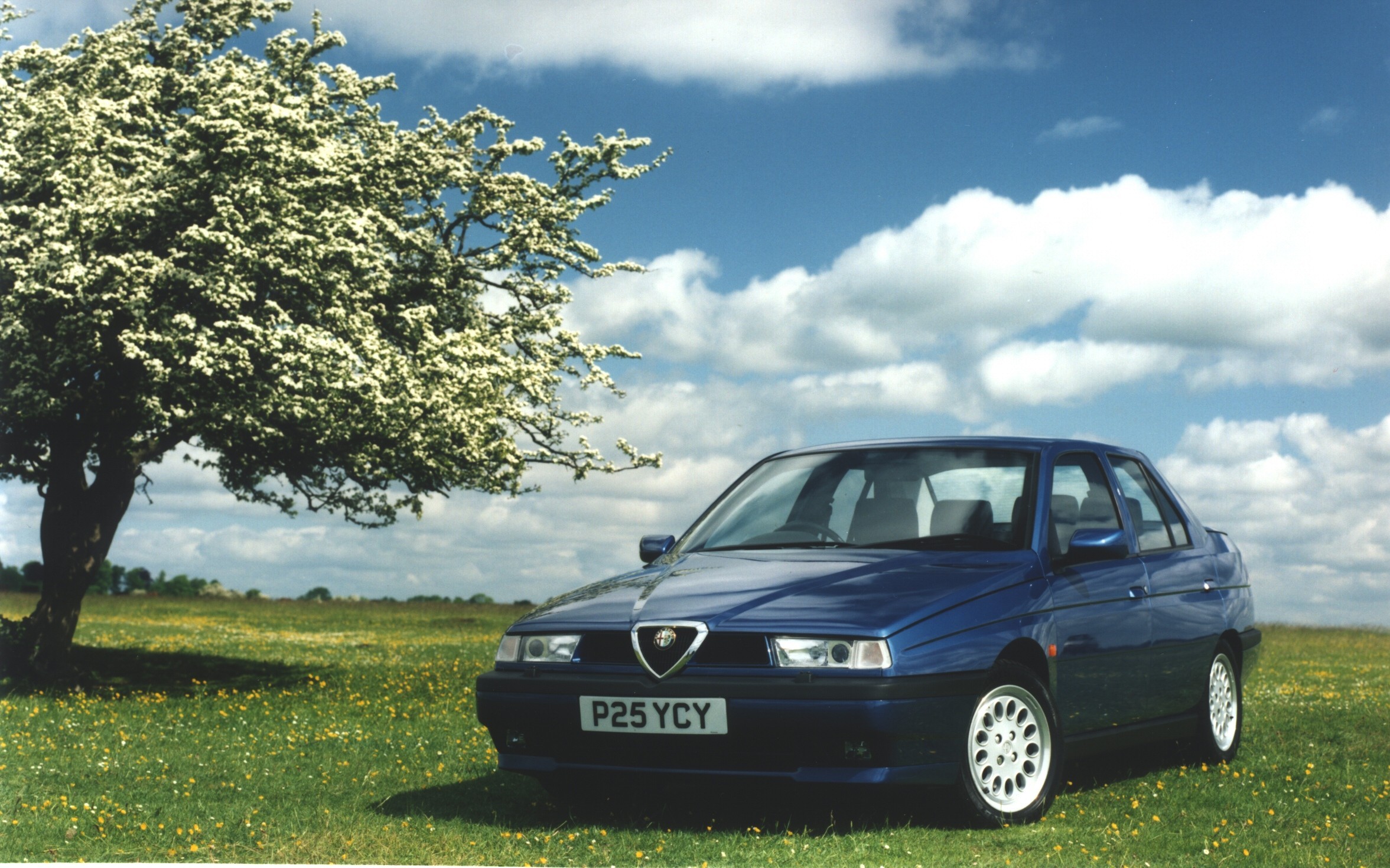 Alfa Romeo 155