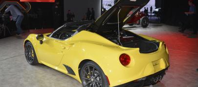 Alfa Romeo 4C Spider Detroit (2015) - picture 4 of 7