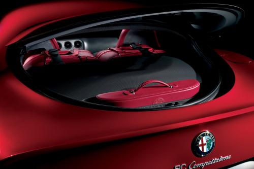 Alfa Romeo 8C Competizione (2009) - picture 17 of 18