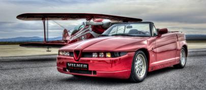 Alfa Romeo Zagato Roadster by Vilner (2013) - picture 7 of 19