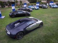 All Bugatti Veyron Legend Editions (2014) - picture 2 of 3