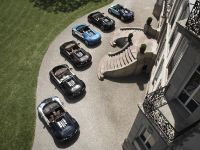 All Bugatti Veyron Legend Editions