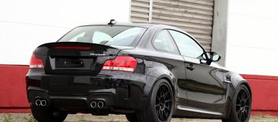 Alpha-N BMW 1M RS (2012) - picture 7 of 11