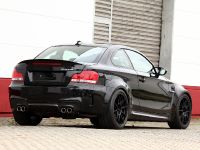 Alpha-N BMW 1M RS