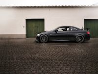 Alpha-N BMW M3 E92 (2012) - picture 3 of 11