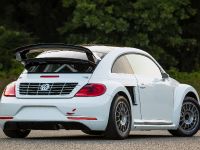 Andretti Rallycross Volkswagen Beetle GRC (2014) - picture 3 of 3