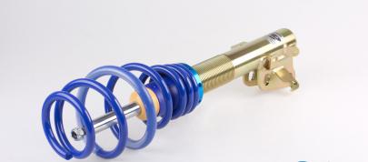 Ap Coilover Honda Civic Type R FN2 (2010) - picture 4 of 7