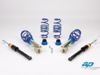 Ap Coilover Honda Civic Type R FN2 (2010) - picture 1 of 7