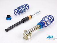 Ap Coilover Honda Civic Type R FN2 (2010) - picture 2 of 7