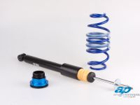 Ap Coilover Honda Civic Type R FN2 (2010) - picture 3 of 7