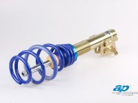 Ap Coilover Honda Civic Type R FN2 (2010) - picture 4 of 7