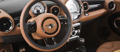 Arden MINI Equipe (2009) - picture 4 of 4