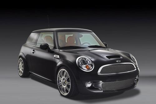 Arden MINI Equipe (2009) - picture 1 of 4