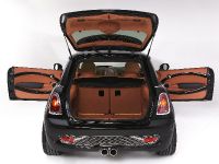 Arden MINI Equipe (2009) - picture 3 of 4