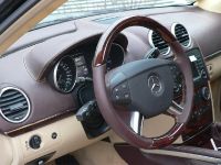 ART Mercedes-Benz GL X64 (2006) - picture 5 of 5