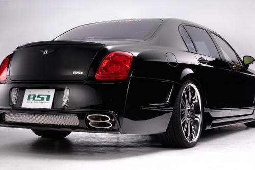 ASI Bentley FS2 (2009) - picture 8 of 12
