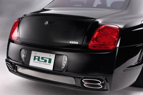 ASI Bentley FS2 (2009) - picture 9 of 12