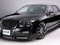 ASI Bentley FS2 (2009) - picture 3 of 12