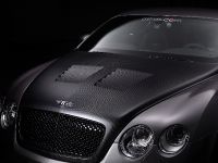 ASI Bentley GTS (2008) - picture 10 of 43