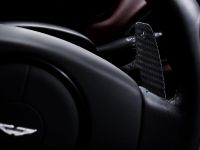 Aston Martin AM 310 Vanquish (2013) - picture 14 of 14