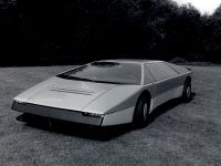Aston Martin Bulldog (1980) - picture 2 of 2