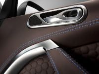 Aston Martin Cygnet Colette Special Edition (2011) - picture 6 of 10