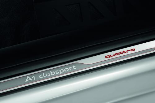 Audi A1 Clubsport Quattro (2011) - picture 16 of 24