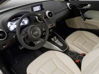 Audi A1 e-tron concept (2010)