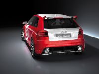 Audi A3 TDI Clubsport Quattro (2008) - picture 10 of 26