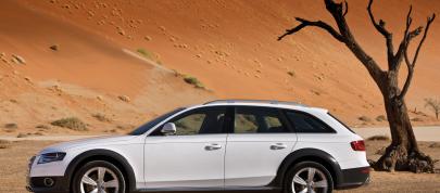 Audi A4 allroad quattro (2010) - picture 20 of 54