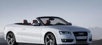 Audi A5 Cabriolet (2010) - picture 15 of 53