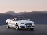 Audi A5 Cabriolet (2010) - picture 13 of 53