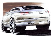 Audi Pikes Peak Quattro (2003) - picture 11 of 14