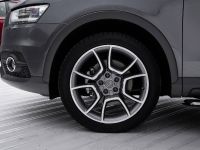 Audi Q3 Worthersee (2014) - picture 11 of 14