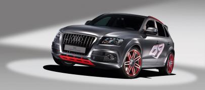 Audi Q5 custom concept (2009) - picture 4 of 18