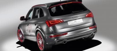 Audi Q5 custom concept (2009) - picture 7 of 18