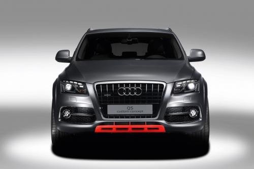 Audi Q5 custom concept (2009) - picture 1 of 18