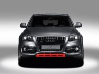 Audi Q5 custom concept (2009) - picture 1 of 18