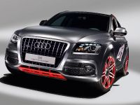 Audi Q5 custom concept (2009) - picture 2 of 18