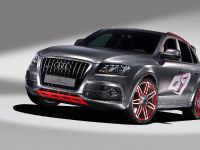 Audi Q5 custom concept (2009) - picture 4 of 18